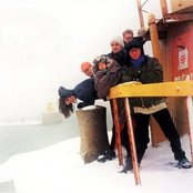 Sugarcubes - List pictures