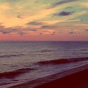 Tep No - List pictures