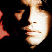 The Gun Club - List pictures