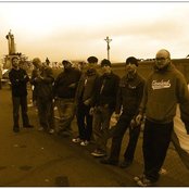 Born To Lose - List pictures