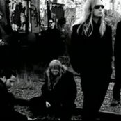 Bay Laurel - List pictures