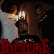 Bloodline - List pictures