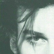 Daniel Ash - List pictures