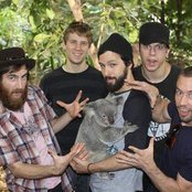 Dillinger Escape Plan - List pictures