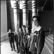 Stereolab - List pictures
