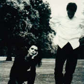 Curve - List pictures