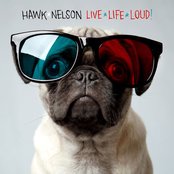Hawk Nelson - List pictures