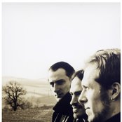 Disillusion - List pictures