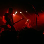 Wolf - List pictures