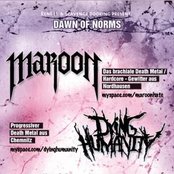 Maroon - List pictures