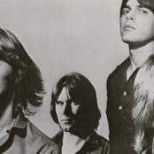 The Shoes - List pictures