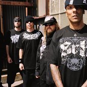 Hed Pe - List pictures