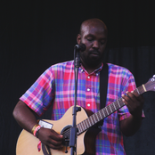 Shad - List pictures