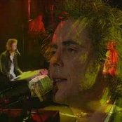 Tim Freedman - List pictures