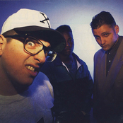 3rd Bass - List pictures