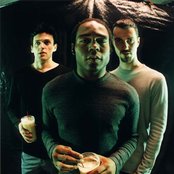 Orange 9mm - List pictures