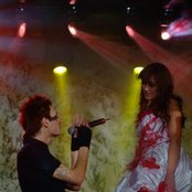 Vena - List pictures