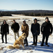 Felice Brothers - List pictures