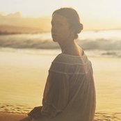 Taken By Trees - List pictures