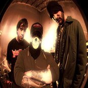 Buffalo - List pictures