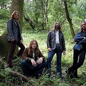 Orchid - List pictures