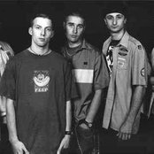 Spunge - List pictures