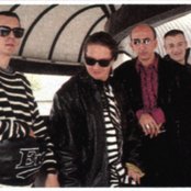 Datura - List pictures