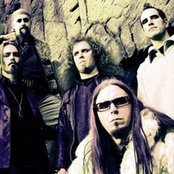 Falconer - List pictures