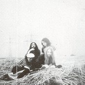 Krokodil - List pictures