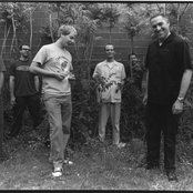 Pietasters - List pictures