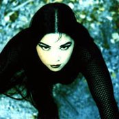 Sinergy - List pictures