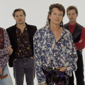 Icehouse - List pictures