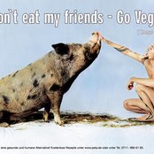 Thomas D. - List pictures