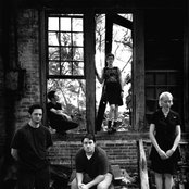 Mira - List pictures