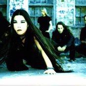 Sinergy - List pictures