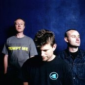 Red Snapper - List pictures