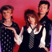 The Divinyls - List pictures