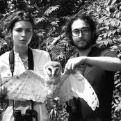 The Ghost Of A Saber Tooth Tiger - List pictures