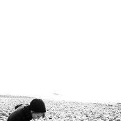 Steph Macpherson - List pictures