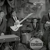 The Standells - List pictures