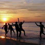 Sparks The Rescue - List pictures