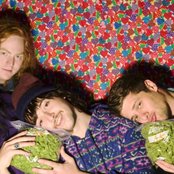 The Memories - List pictures