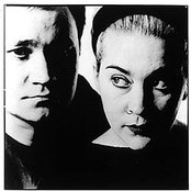 Laika - List pictures