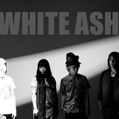 White Ash - List pictures