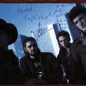 Plebe Rude - List pictures