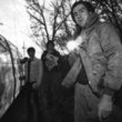 The Whigs - List pictures