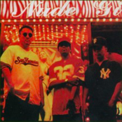 Dr. Octagon - List pictures