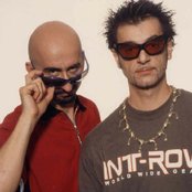 Datura - List pictures