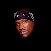 Heron - List pictures