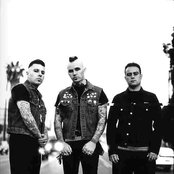 Tiger Army - List pictures